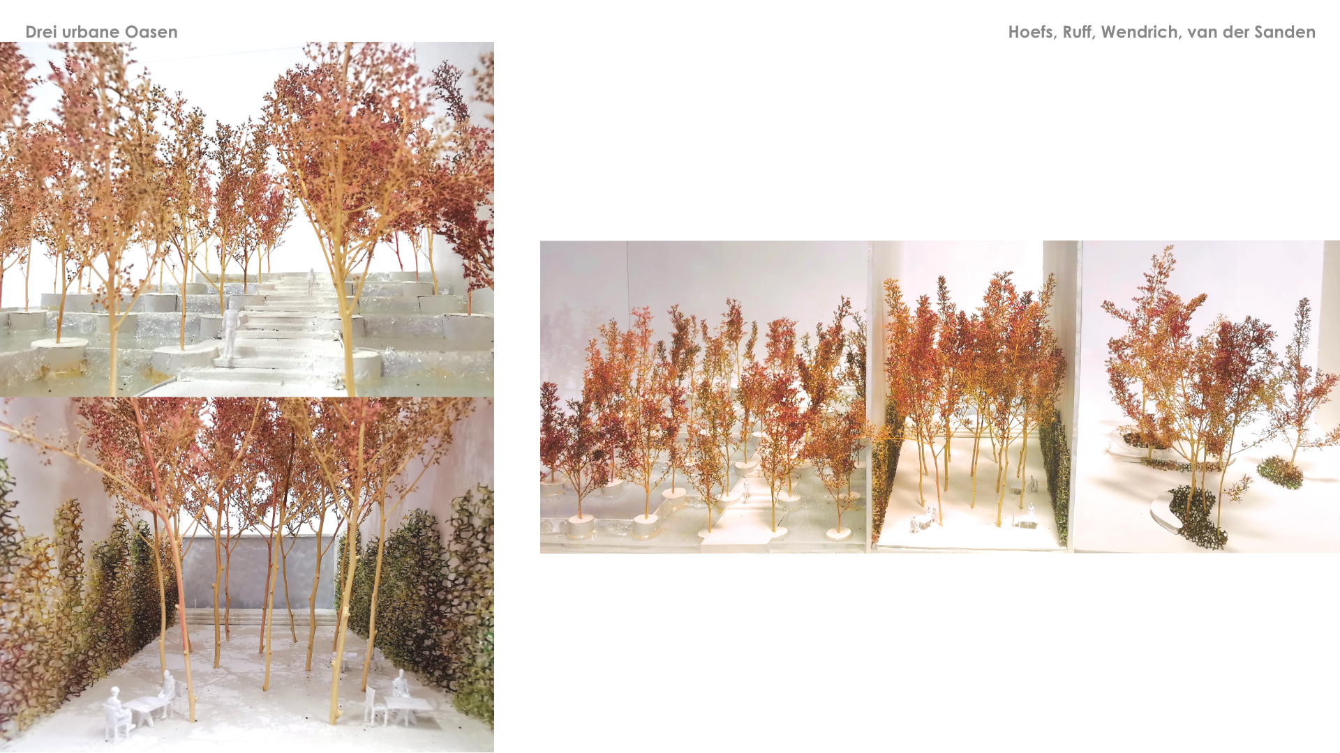 Vorlage LANT Infoscreen PDF