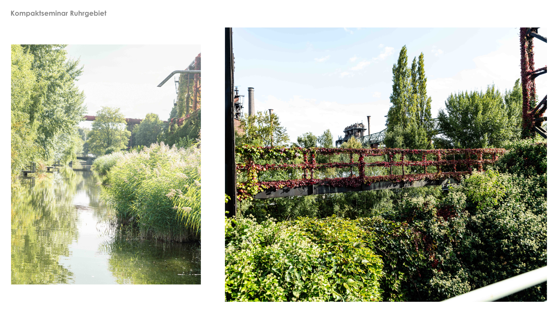 Vorlage LANT Infoscreen PDF