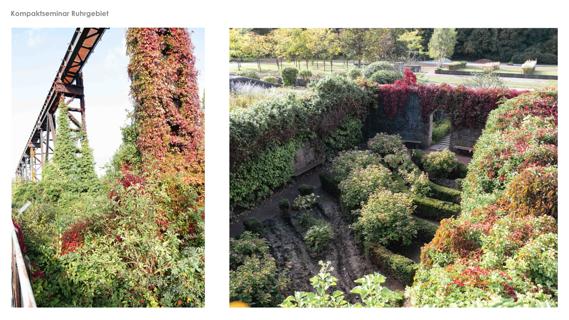 Vorlage LANT Infoscreen PDF