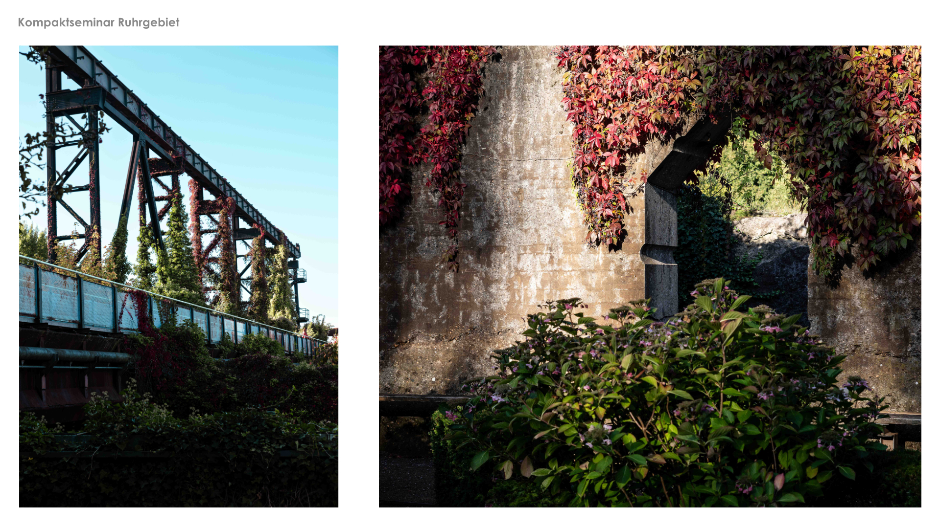 Vorlage LANT Infoscreen PDF