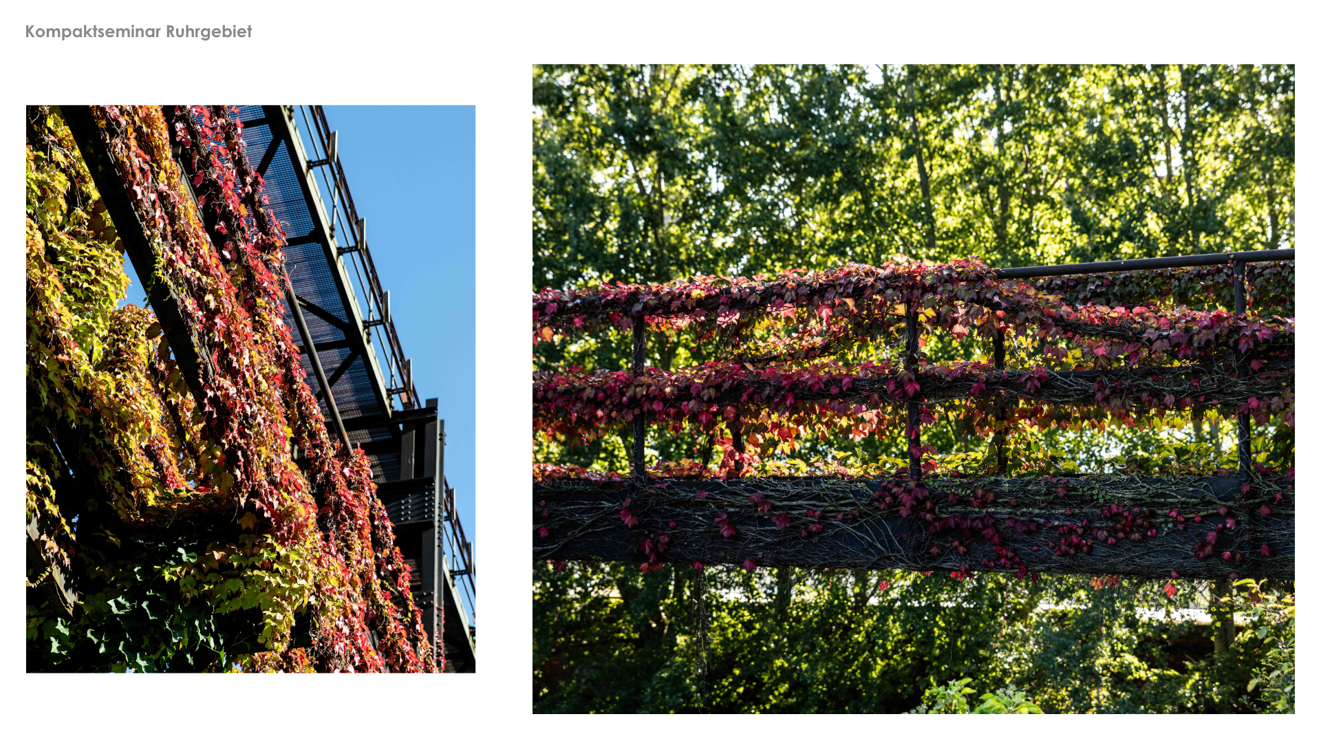 Vorlage LANT Infoscreen PDF