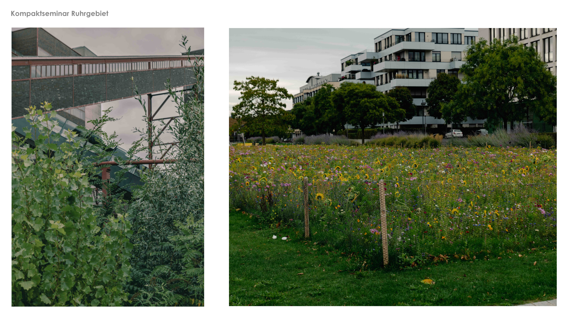 Vorlage LANT Infoscreen PDF