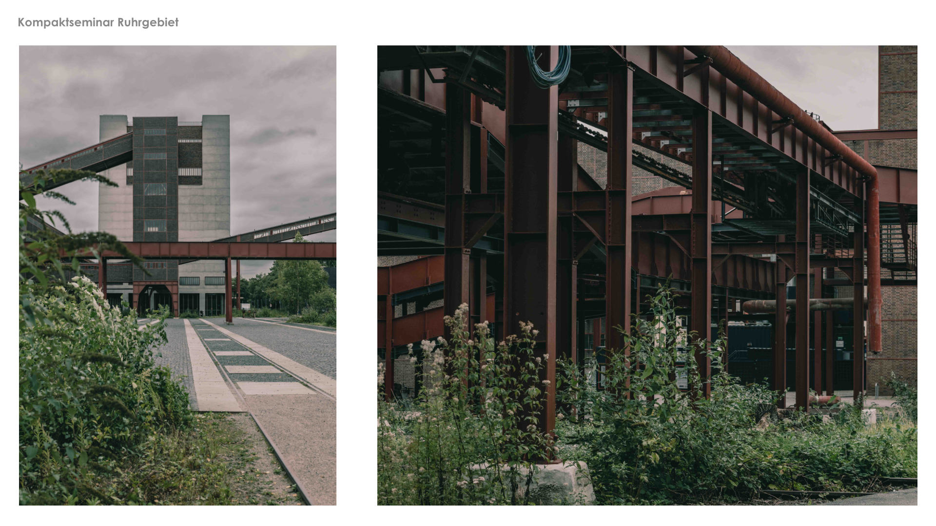 Vorlage LANT Infoscreen PDF